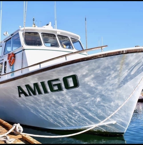 Amigo