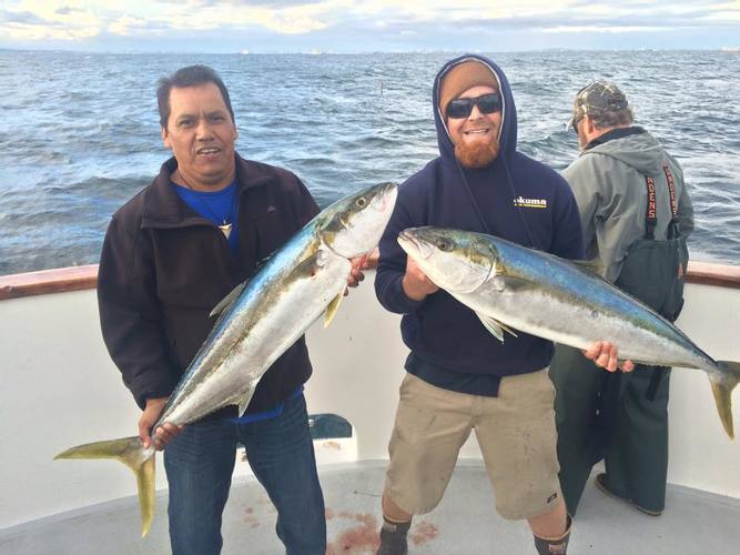 "Rockfish opener 2014"